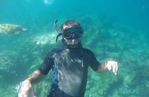 Tour to Tuneles & Cabo Rosa (Isabela Island)