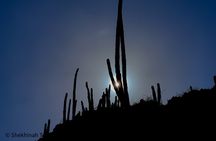 Washington Park Tour with Local Guide on Bonaire