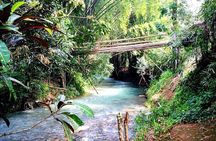 Mayfield Falls, Blue Hole & Rick's Café Tours with Lunch & drink 