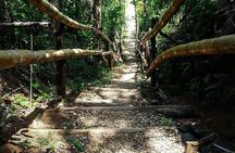 Mayfield Falls, Blue Hole & Rick's Café Tours with Lunch & drink 