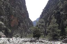 Samaria Gorge Transfer from Chania (price per group of 6)