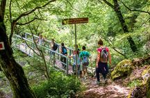 Hiking Menalon & Lousios gorge