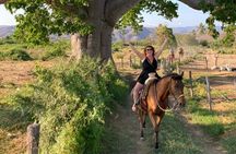 Sunset by horse (river and beach)