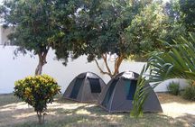 7-Day Private Camping Safari Tour in Kenya with Meals