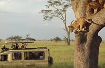 3 Days Safari to Serengeti National Park & Ngorongoro Crater in Tanzania