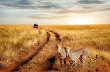 3 Days Safari to Serengeti National Park & Ngorongoro Crater in Tanzania