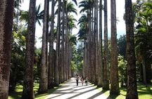 Rio de Janeiro Day Tour with Lunch