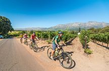 Private Cycling Tour of Constantia Winelands