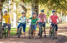 Private Cycling Tour of Constantia Winelands