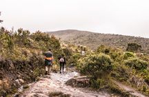 Chingaza National Park Day Tour from Bogotá: Andean Wilderness