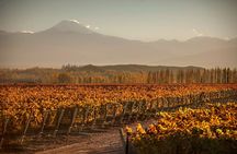 Mendoza Malbec Experience