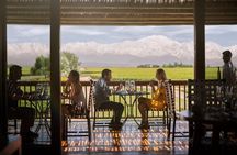 Mendoza Malbec Experience