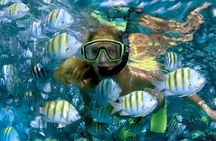 Best half-day snorkel tour: visit Kaan Luum, Yalku & Cenote