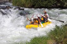 Full Day Rogue River Experience Class (I-IV)