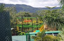 Private Transportation from Montego Bay to Mystic Mountain and Dunn's River Fall