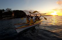 Beautiful Middle Harbour Sunriser / Guided Kayaking Private Tour