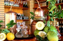 Naxos Old Town Private Food Tour with Dinner and Pickup