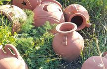 Half-Day Tour of Naxos Island (up to 7 pax)
