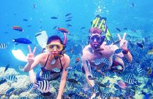Orange Bay Snorkeling tour from Hurghada hotels include Lunch and equipment