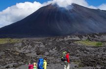 Pacaya Volcano Excursion from Guatemala City