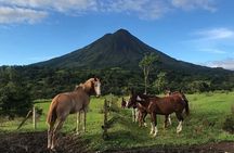 Full Day Class II-III Rafting + Horse Back Riding 