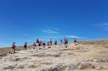 Pilgrimage with Researcher to Cañada de la Virgen, Hill of the Ancestors