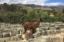 Ingapirca Ruins & Inca mountain face tour from Cuenca with Small Group
