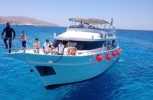 Snorkeling Excursion in Ras Mohammed and White Island 