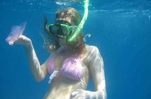 Snorkeling Excursion in Ras Mohammed and White Island 
