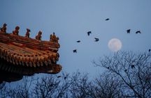Top2 Beijing Forbidden City, Great Wall Flexible Private Tour OPT
