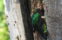 Quetzal tour on lake atitlan 