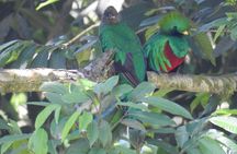 Quetzal tour on lake atitlan 