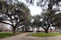Day Trips to Charleston#7 See Ft Sumter,CarriageTour,Lunch & more