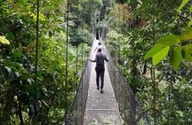 Private Hanging Bridges + Waterfall Tour + Costarrican Lunch