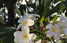 LGBTQIA, we look forward to seeing you | Island tour | Mahé | Seychelles