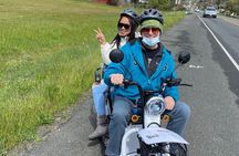 Sonoma Wine Country Electric Trike Tour - 5 hours