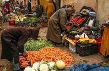 Atlas Mountains Tour With a Guide from Marrakech