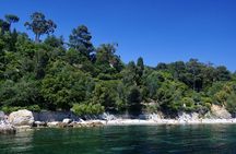 Explore Poros & Aegina on a Private Boat Trip from Athens