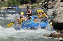 Browns Canyon Half-Day Whitewater Rafting Tour from Buena Vista