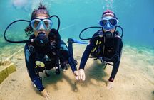 Discover PADI Diving in Barcelona