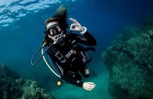 Discover PADI Diving in Barcelona