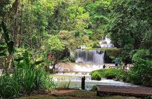 Ys Falls Private Tour