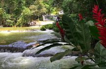Ys Falls Private Tour