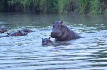 4 Days Tanzania Budget Group Join Safari- Serengeti & Ngorongoro