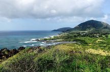 Honolulu Private Walking Tour with a Local