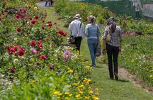 Private tour: Medellin's Flower Culture & The Silletero Tradition of Santa Elena