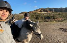 Malaga - guided horseback riding