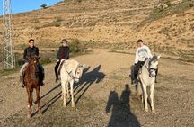 Malaga - guided horseback riding