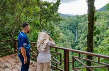 Bird Watching Tour Arenal Mundo Aventura