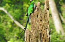 Quetzal tour on lake atitlan 
